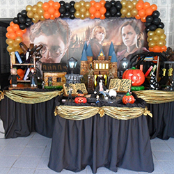 Aluguel de Decoração de Festa Infantil tema Harry Potter