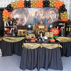 Decoração para festa infantil com tema Harry Potter